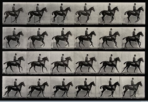 Eadweard Muybridge - Recall